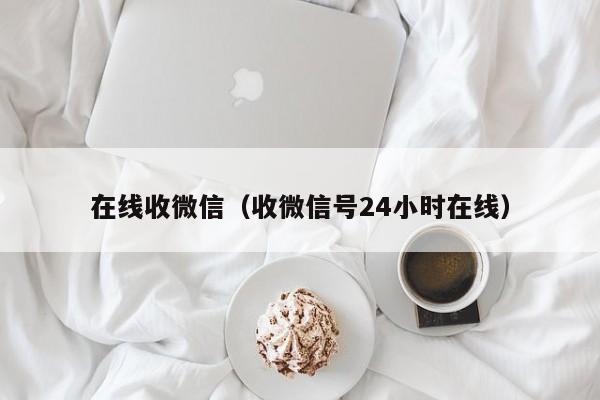 在线收微信（收微信号24小时在线）
